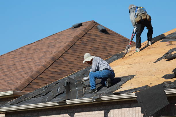 Best Roof Maintenance and Cleaning  in Cecil Bishop, PA